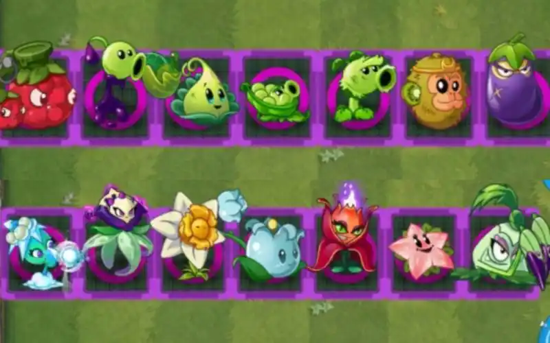 [pvz2][植物大战僵尸2]男性植物七强vs女性植物七强