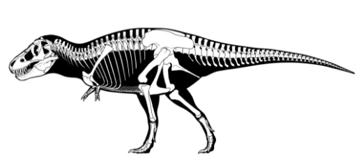 2021年4月16日环球科学要闻|霸王龙|丹麦|行星_新浪科技_新浪网