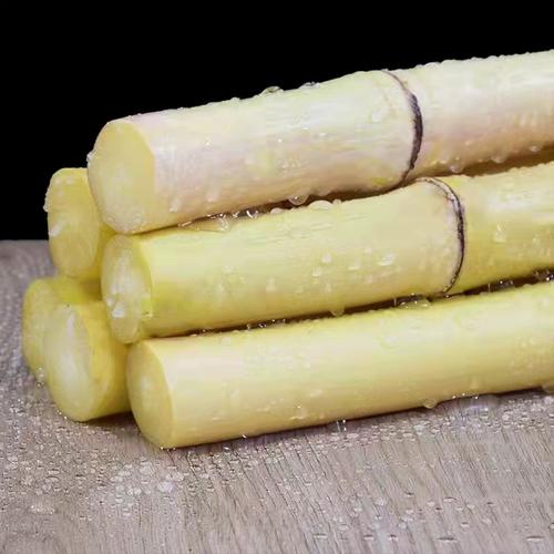 广西贵港木格镇白皮甘蔗白玉蔗玻璃脆甘蔗现砍发货坏果包赔