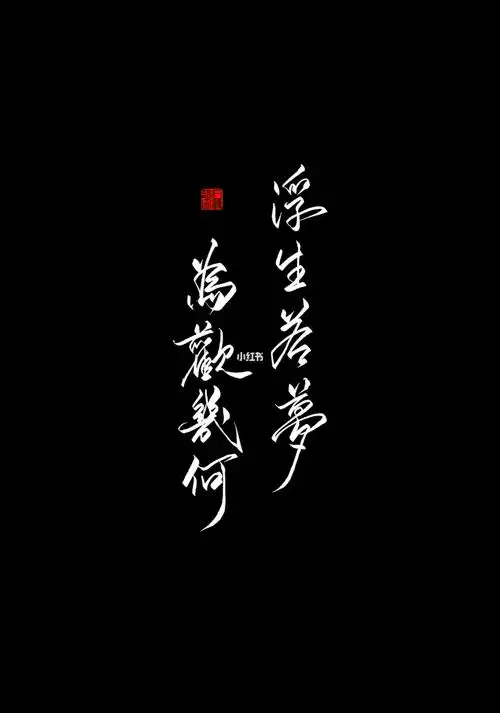 浮生若梦,为欢几何?