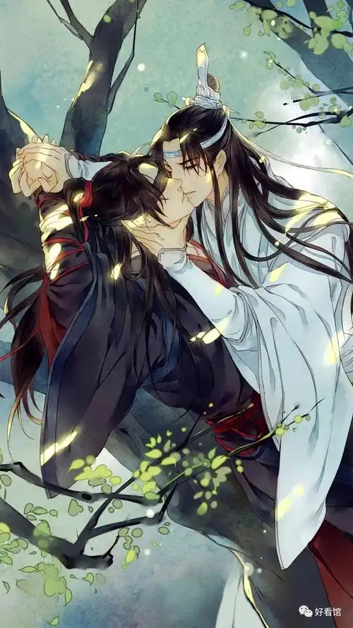 魔道祖师魔道祖师动画高清魔道祖师壁纸高清竖屏第99期