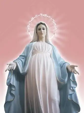 谁有这张圣母漫画原图