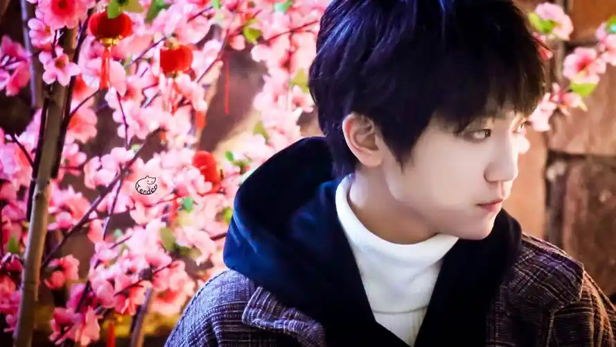 『tf家族』李天泽