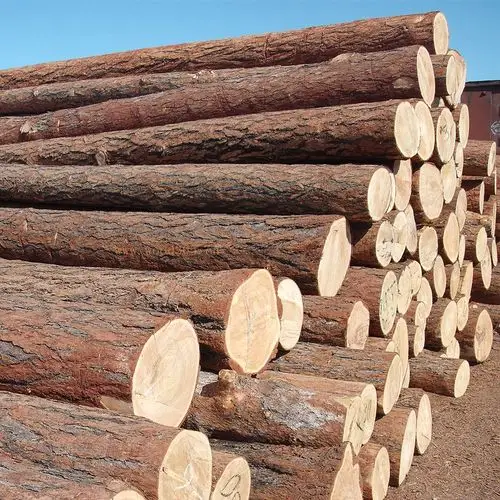 【木材建材】品质保证 专业加工各类建材 原木木材 优质供应
