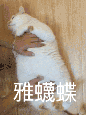 卖萌qq可爱表情 qq动态表情 qq动漫表情 qq超萌表情 qq表情大全 qq