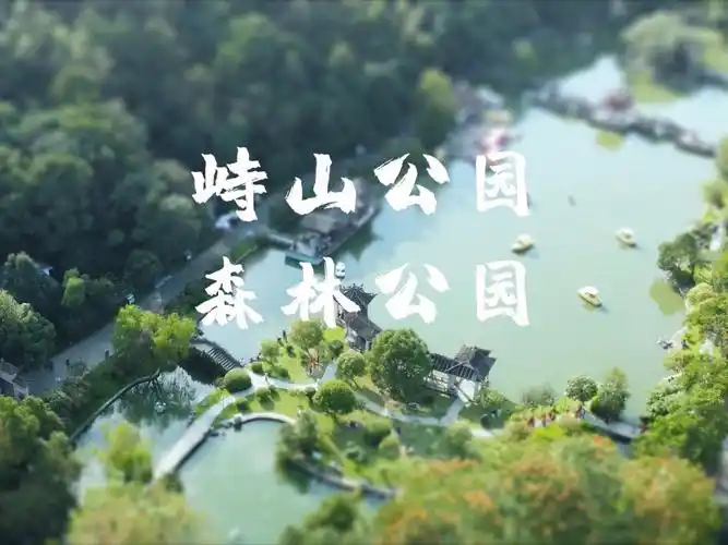 宁波小众景点探秘慈溪峙山公园森林公园