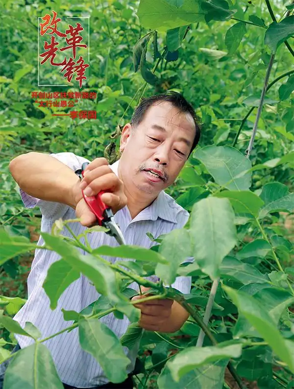 原创开创山区扶贫新路的太行山愚公李保国