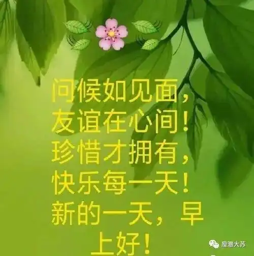 问候如见面,友谊在心间!新的一天,早上好!