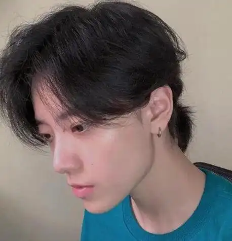 这种发型被称为鲻鱼头,鲻鱼头的一个很大特点在于整个发型非常有层次