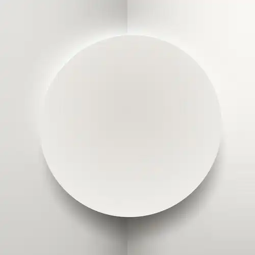 带投影矢量的白色圆形剪纸图片,裁纸刀,图案,3d,摘要,背景,徽章,旗帜