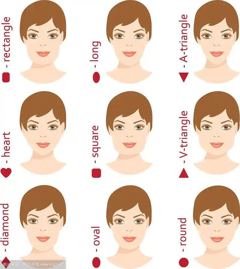 一组不同的女性脸型