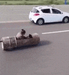 227_247gif 动态图 动图