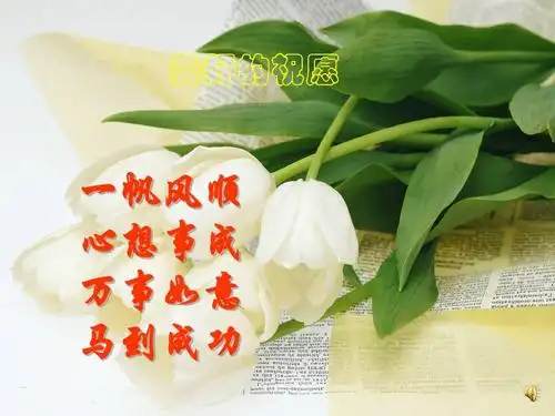 美好的祝愿 一帆风顺 心想事成 万事如意 马到成功