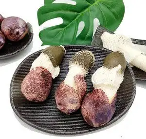 云南省新鲜菌菇竹荪竹笙顺丰500g250g木水花野生菌类食用农特产品