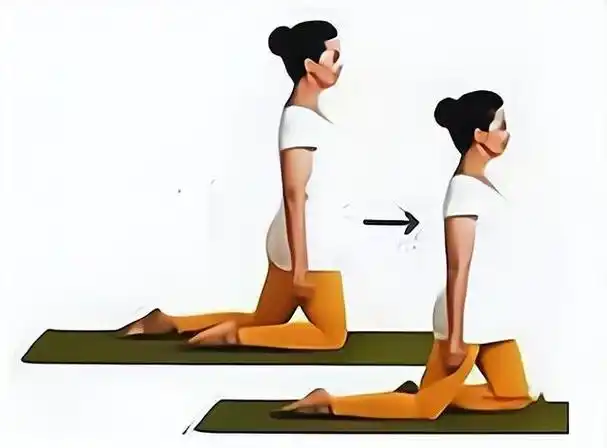 跪膝的时候,脊椎要挺直,我们的小腿要平贴于地面,身体是"l"型的,之后