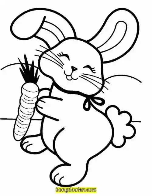 9张傻萌可爱小兔子儿童涂色图片和简笔画大全