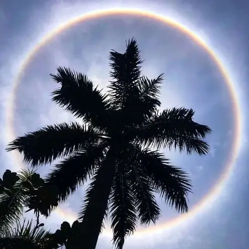 刚刚厦门太阳自带光环你看到了吗