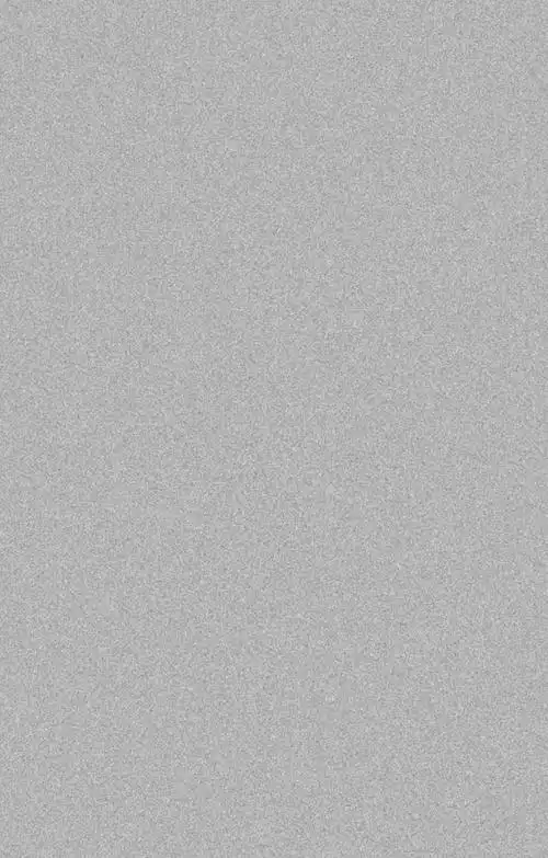 hengqiwne从王大胖很胖转采于2021-03-16 10:26:59噪点素材材质背景