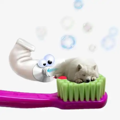 狗狗  #可爱  #可爱头像 #搞怪头像  #微笑天使萨摩耶  #表情包分享