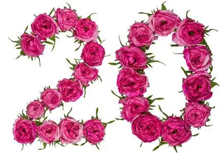 阿拉伯数字 20, 二十, 从红色的玫瑰花, 孤立阿拉伯数字 83, 八十三