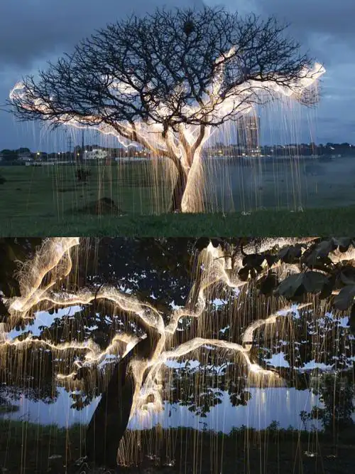 发光之树光涂鸦的魔法