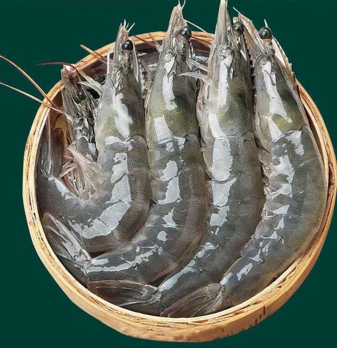 青岛大虾超大海虾鲜活冷冻白虾对虾大虾新鲜海捕大虾