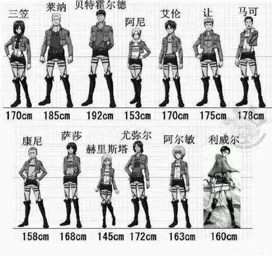 《进击的巨人》众人身高大揭秘:这个男人比兵长矮,女王太娇小了