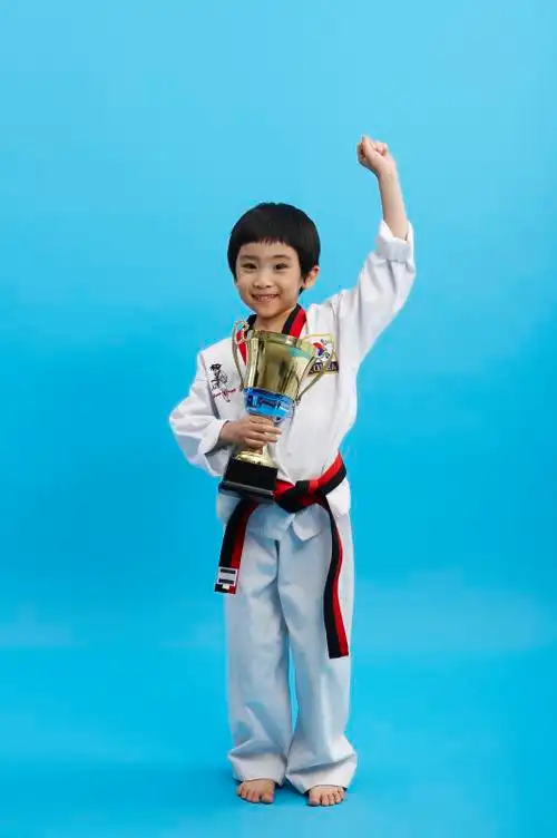 跆拳道男孩