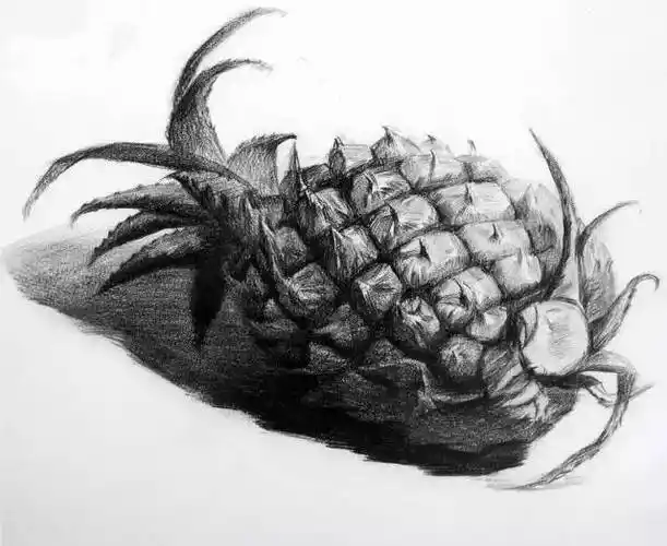 素描静物单个物体单个分析,值得收藏学习