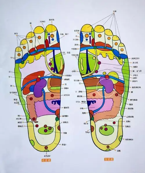 按摩孩子脚底可以长高吗 孩子脚底按摩注意4个事项