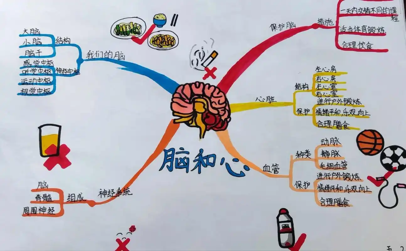 五下科学思维导图 前三个单元的学生优秀作品,真的好棒!