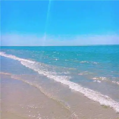 2021带来好运的微信头像图片 漂亮高清