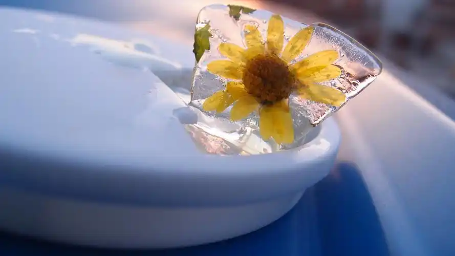 冰冻那一刻的美壁纸