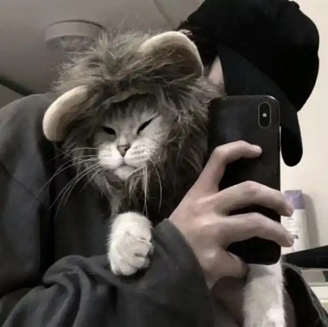 一组男生抱猫头像