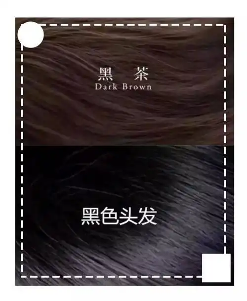 直接上色,后期打理非常方便 可以根据光线的不同 让头发在深棕和黑色