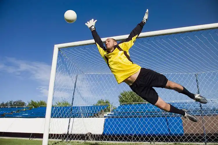 足球历史上 有守门员直接开球进球的记录吗 是哪个队?