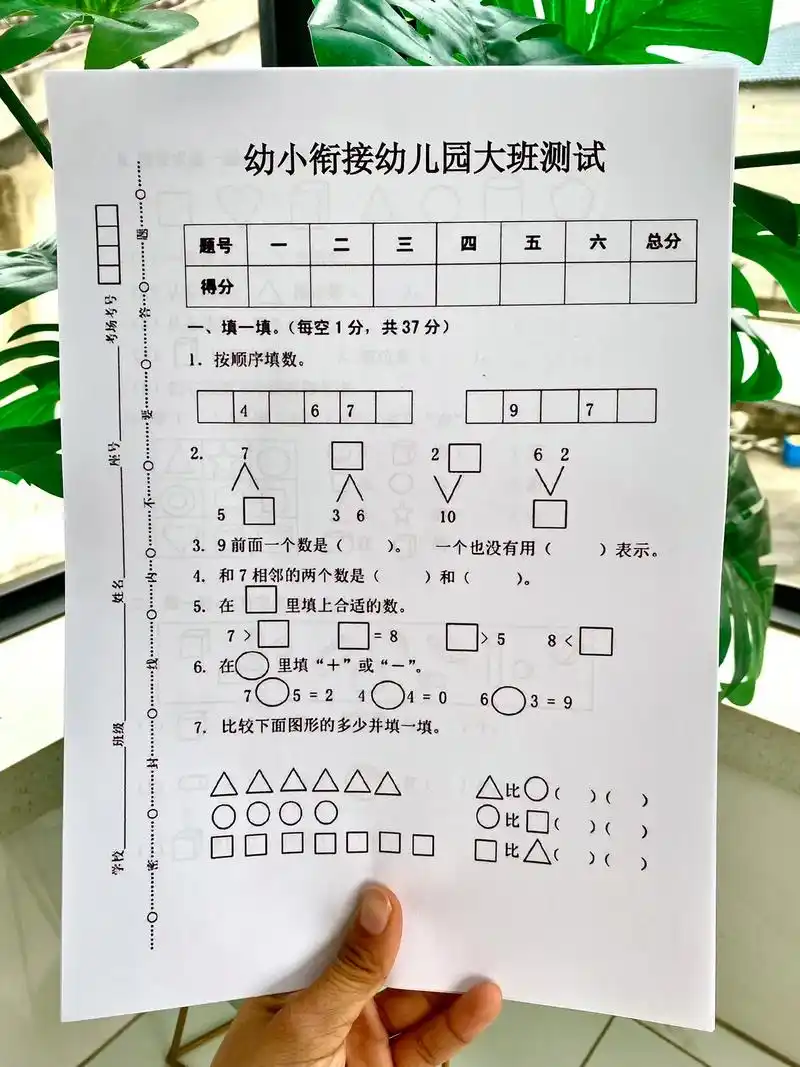 幼小衔接幼儿园大班数学测试卷🔥.