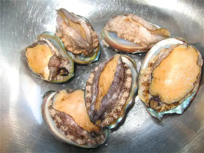 鲍鱼几头是什么意思,什么样的好吃?