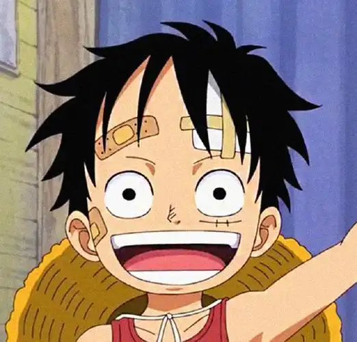 海贼王#海贼王超话草帽一伙小时候太可爱啦~可以当头像捏