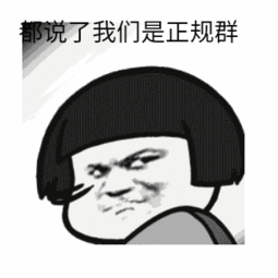 说了多少遍了我们是正规群表情包
