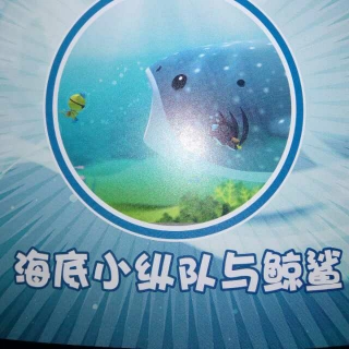海底小纵队与鲸鲨