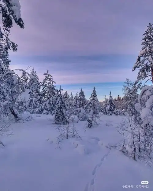 雪景- 堆糖,美图壁纸兴趣社区