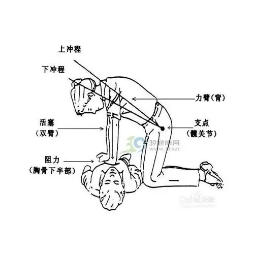 夏波西米亚沙滩裤宽松大码束脚扎脚小脚哈伦灯笼裤子 3031丝料大象黑