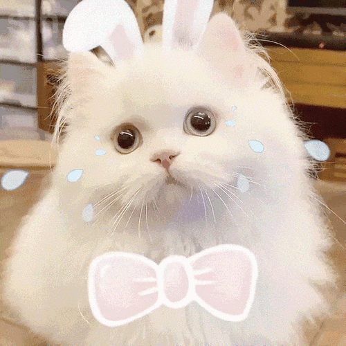 萌与沙雕并存,这表情包你有吗?