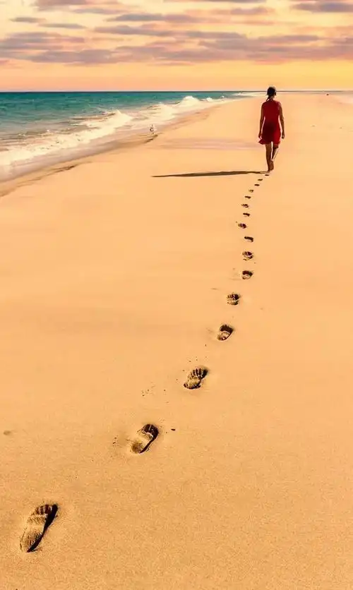 【远去的背影】首发