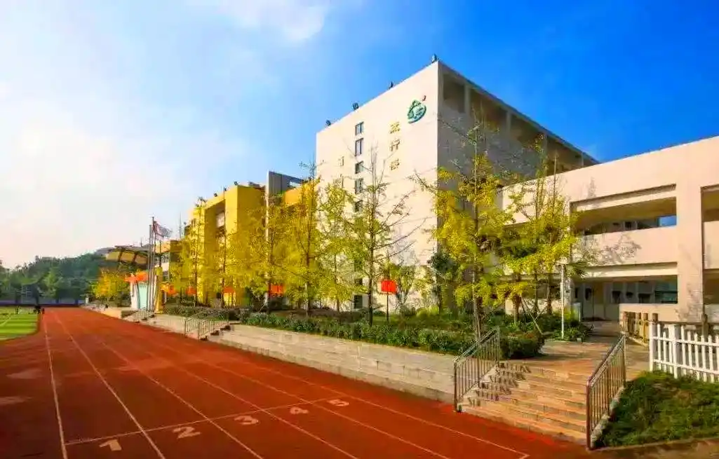 重庆树人小学及关联学校的教育特色与发展概述