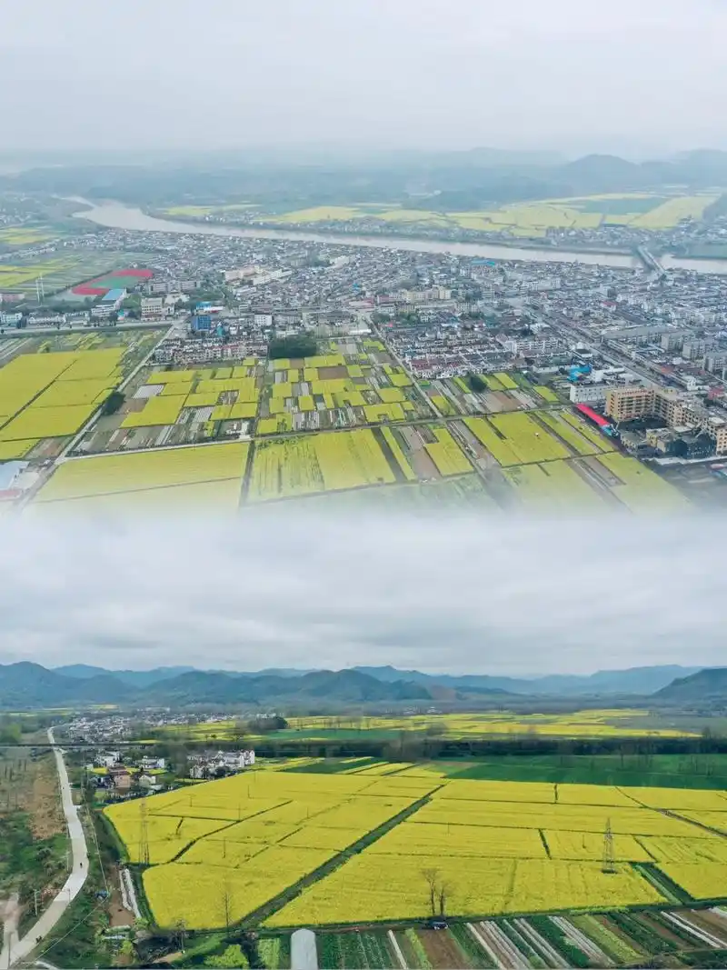 大美殷汇.#航拍最美家乡 #殷汇 #美丽乡村 #最美乡村风景 - 抖音