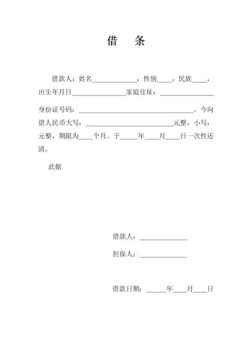 个人借条借据docx1页