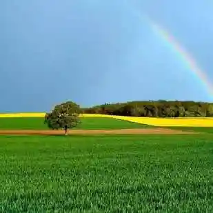微信头像 高清风景图片