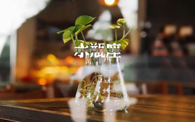 创意水瓶座文字清新高清壁纸